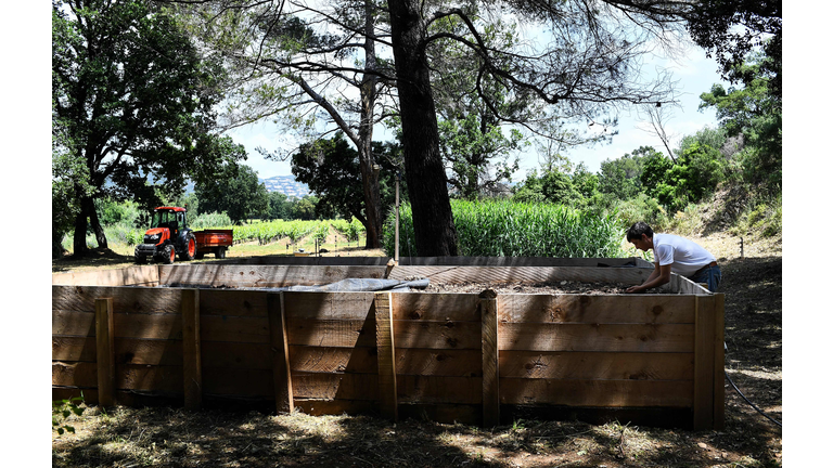FRANCE-AGRICULTURE-VINEYARD-ORGANIC