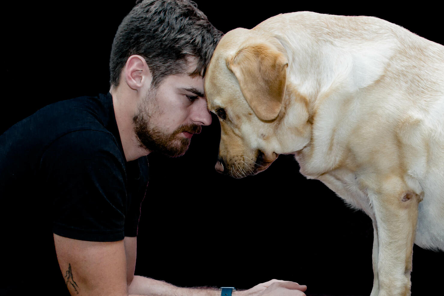Relacion hombre y perro