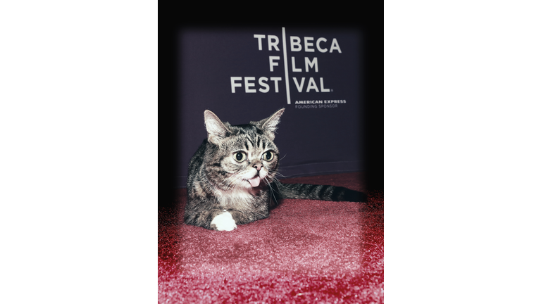 Alternative Views - 2013 Tribeca Film Festival