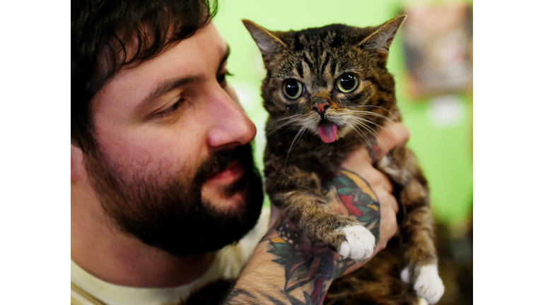 US-LIFESTYLE-ANIMAL-CATCON