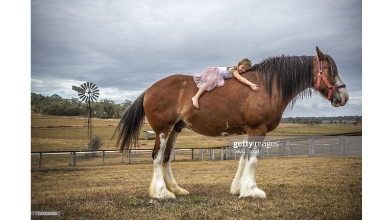 THE 15 BIGGEST ANIMALS YOU WON'T BELOEVE ACTUALLY EXIST
