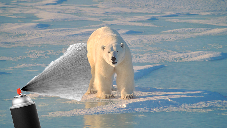 Polar Bear Spray Painted With Odd Marks Leaves Wildlife Experts Baffled   5de7c7d3feed3569ba7d4605