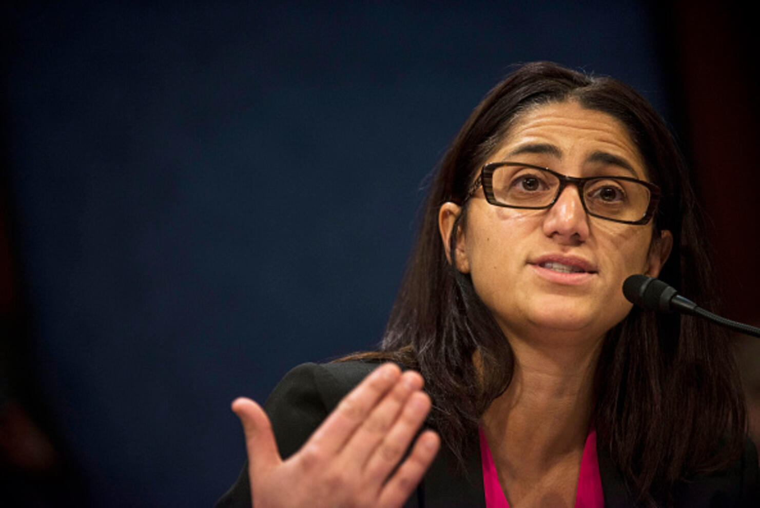 House Democrats Holds Hearing On Flint Water Crisis