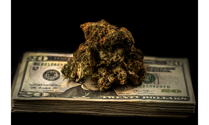 Marijuana on stack of $20