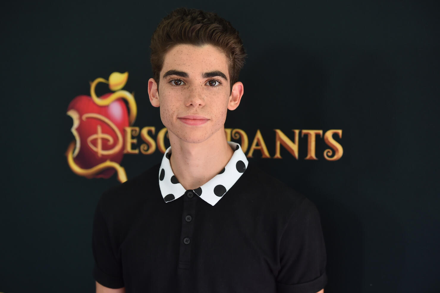 Premiere Of Disney's "Descendants" - Red Carpet