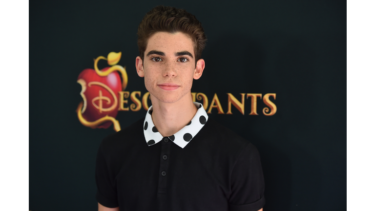 Premiere Of Disney's "Descendants" - Red Carpet