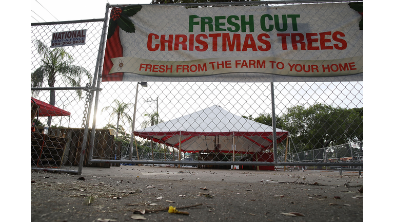 National Christmas Tree Shortage Leads To Higher Prices And Less Inventory