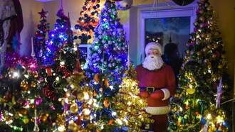 Christmas Tree Survey 