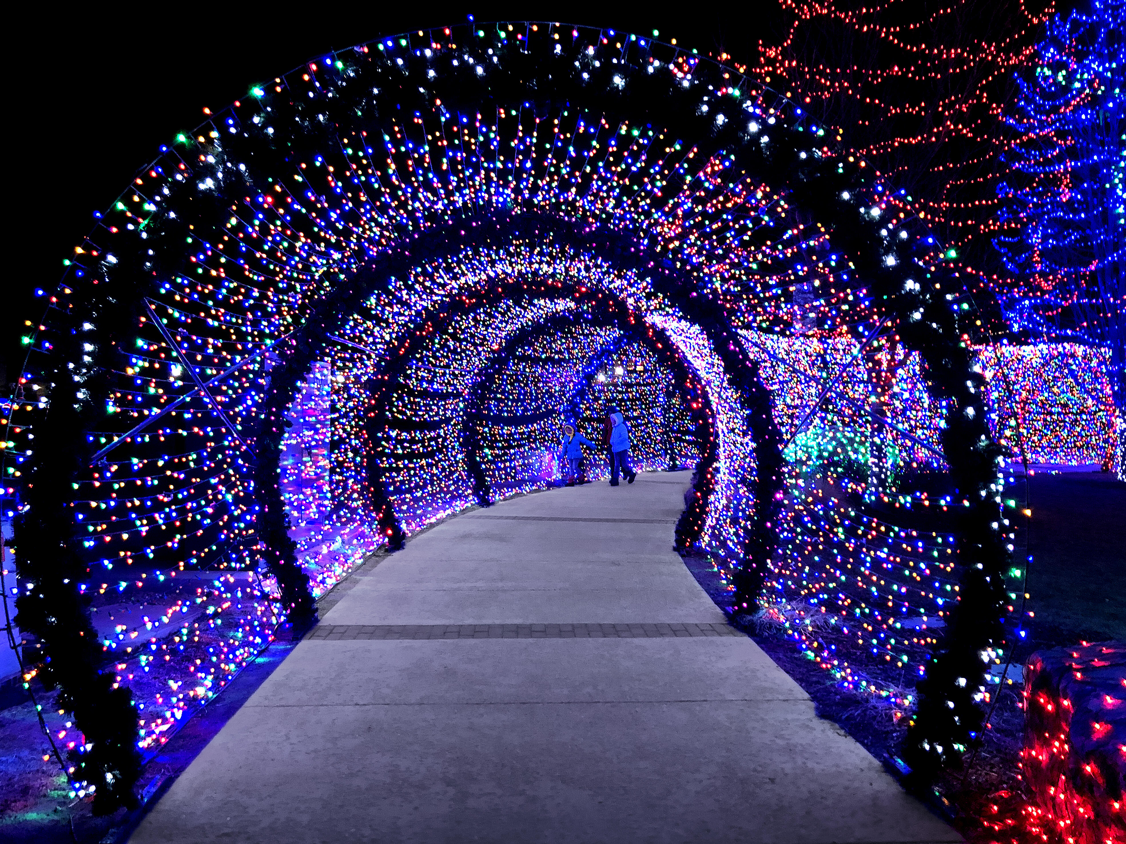 Best Christmas Lights Of 2025 Near Me