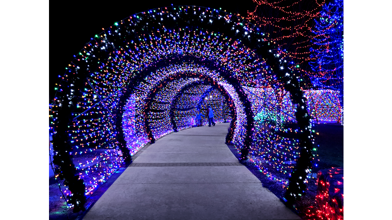 Tunnel Entry to Christmas Tree and Festival of Christmas Lights on the Streets and Waterfront.