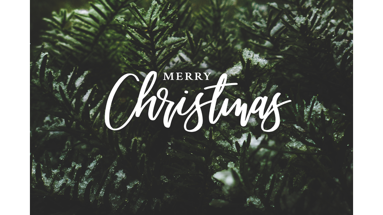Merry Christmas Script Over Evergreen Tree Background