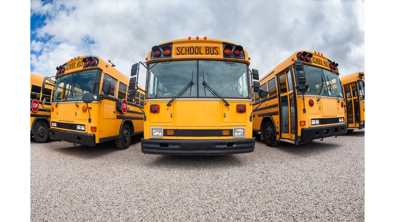 American School Buses