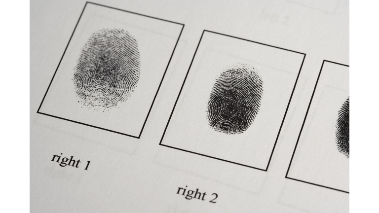 Detail of a fingerprint document