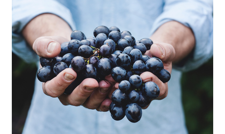 Midsection Of Man Holding Grapes While Standing Outdoors