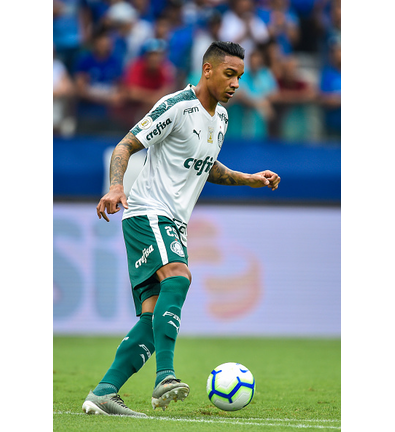 Cruzeiro v Palmeiras - Brasileirao Series A 2019