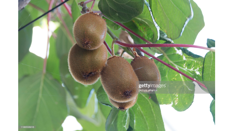 HOW PRODUCTS WE KNOW GROW!  YOU WILL BE SHOCKED BY THE FACTS!