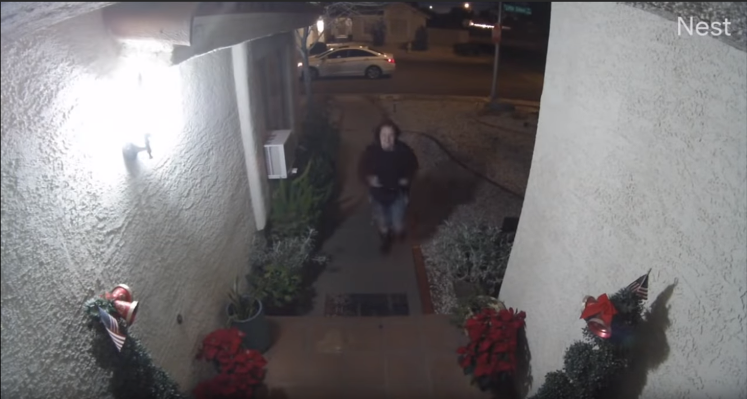 nest camera captures attempted kidnapping