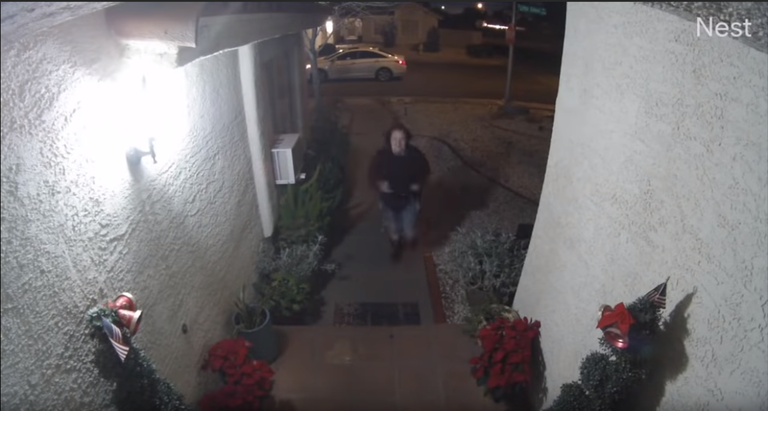nest camera captures attempted kidnapping