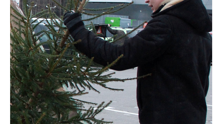 LITHUANIA-ENVIRONMENT-ENERGY-CHRISTMAS