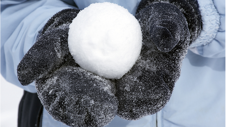 Person holding snowball