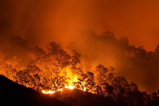 Photo By Getty Images 