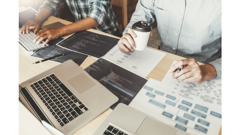 Developing programmer Team Development Website design and coding technologies working at software company office