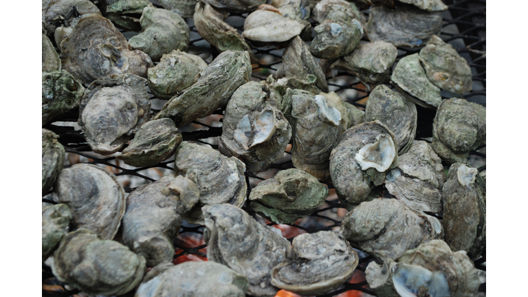 Oysters on a grill