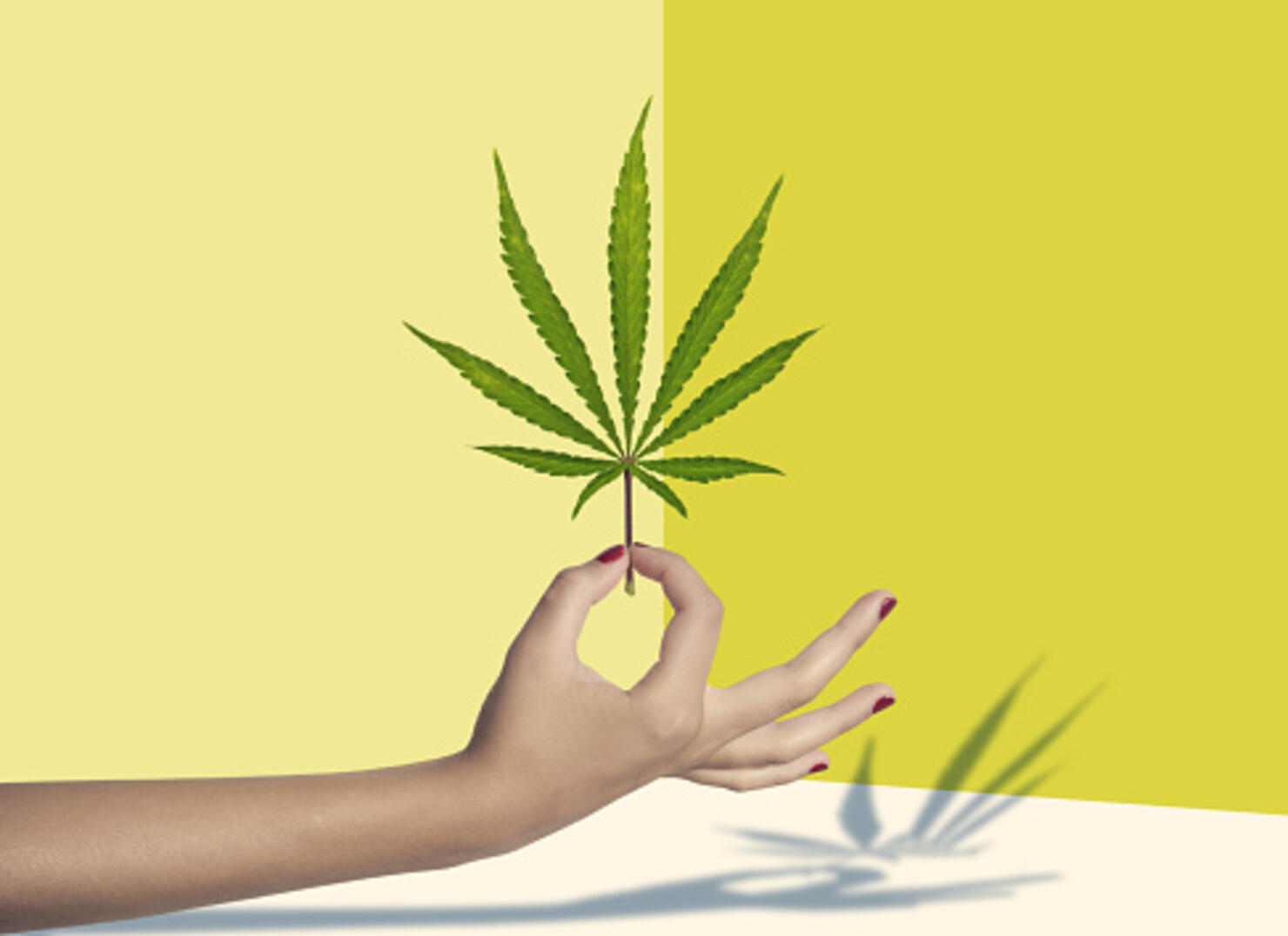 Marijuana