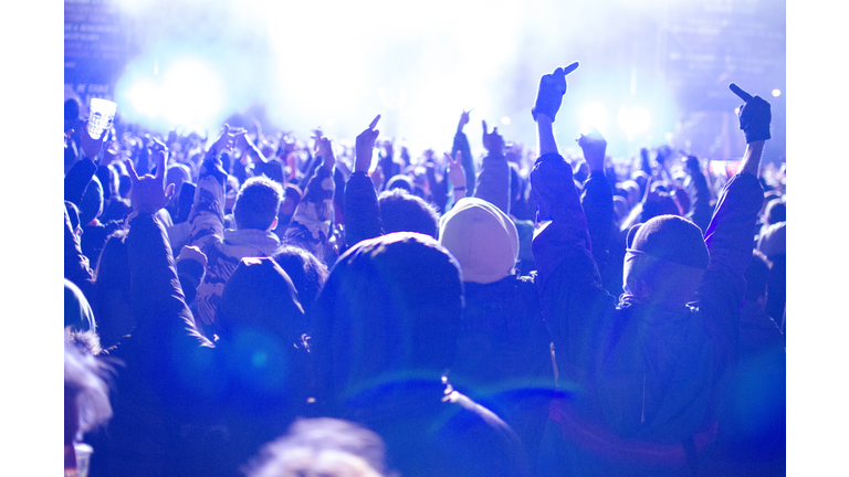 Crowd Enjoying At Music Concert