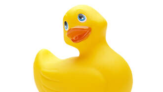 Ducks On A Trampoline