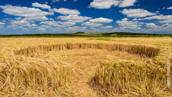 Crop Circle Anomalies