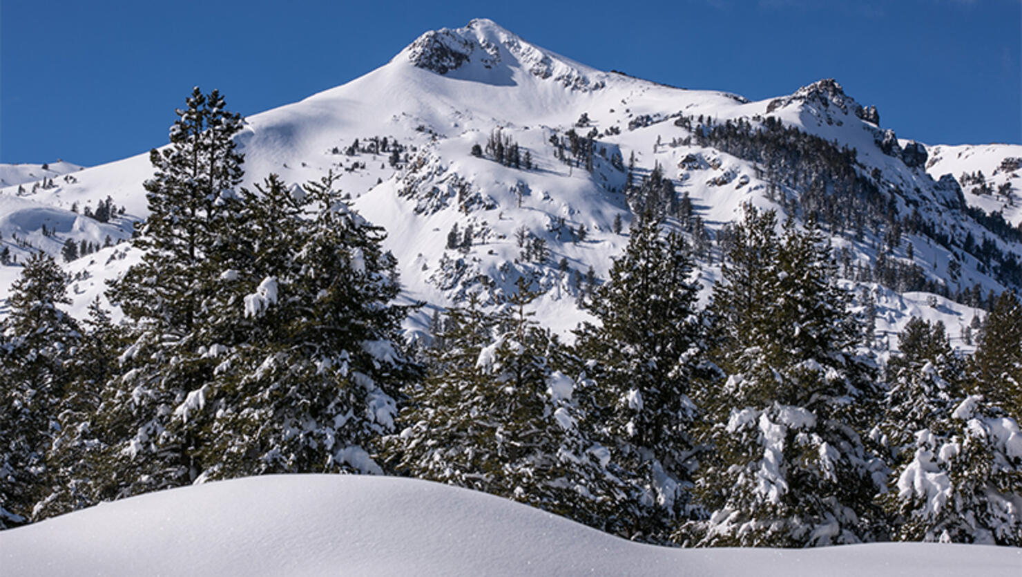 Record Sierra Snowfall Ends California Drought