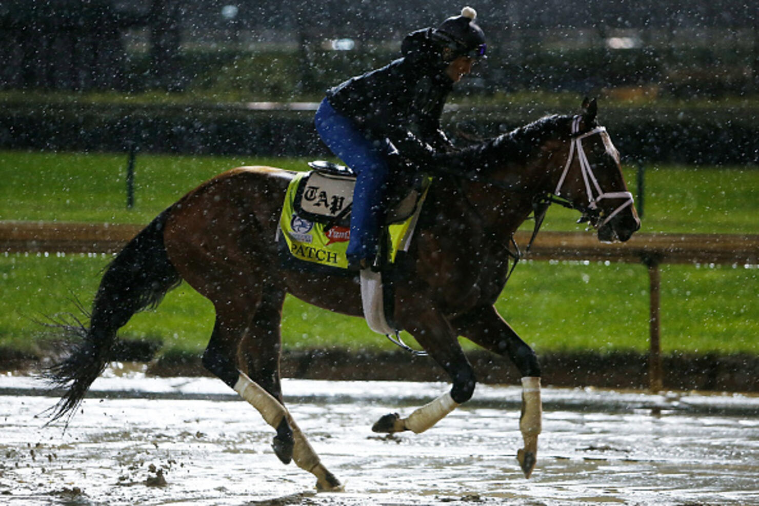 Partially Blind 2017 Kentucky Derby Horse Retires At Old Friends iHeart