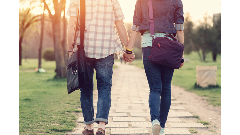 Rear view of teenage couple in the park