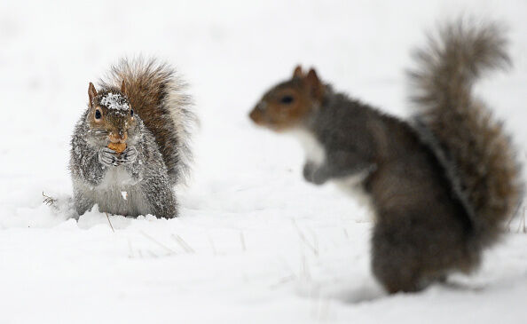 US-WEATHER-SNOW