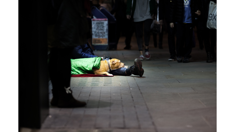 Beggar And Dog On City Street