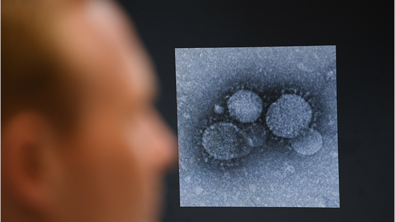 Marburg researchers are looking for a vaccine against coronavirus