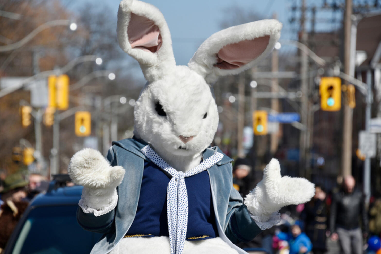 Пасха в канаде 2024. Пасхальный заяц. Зайцы Канады. Пасхальный кролик в Америке. Заяц в пальто.