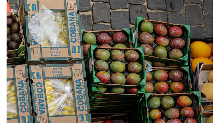 GERMANY-AGRICULTURE-MARKET