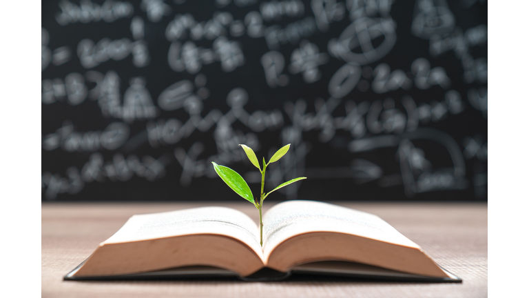 World philosophy day education concept with tree of knowledge planting on opening old big book