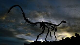 Numerology & Current Events / Dinosaurs & Dragons