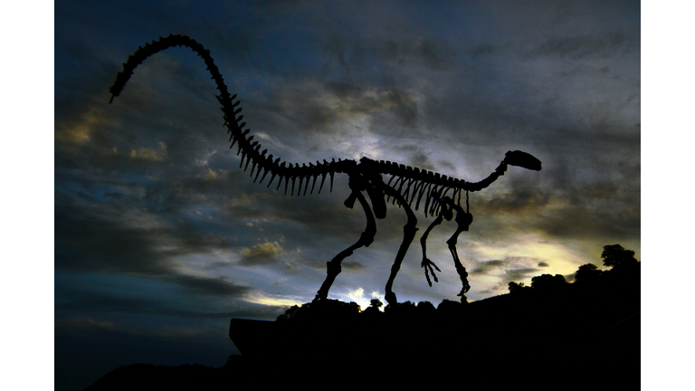 Numerology & Current Events / Dinosaurs & Dragons