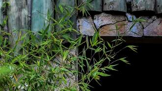 "...turned out to be some tarts coat!"