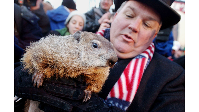 Punxsutawney Phil Makes His Prediction