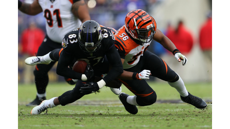 Cincinnati Bengals v Baltimore Ravens