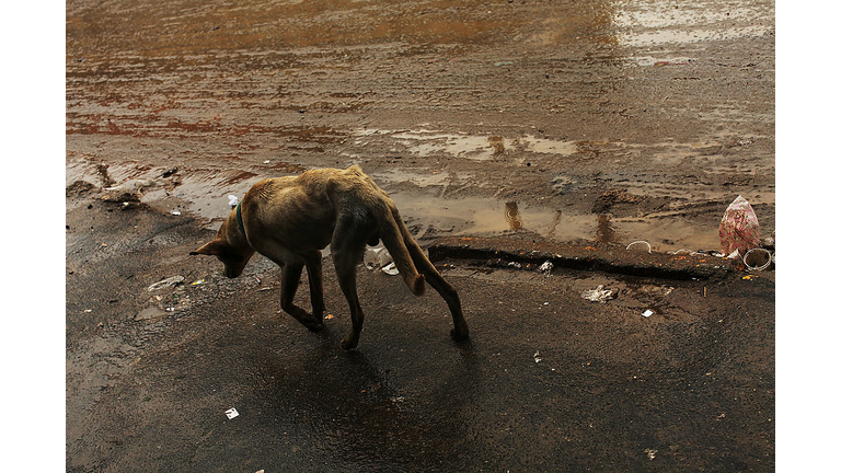 Latin Americas Largest Landfill Set To Close In 2012
