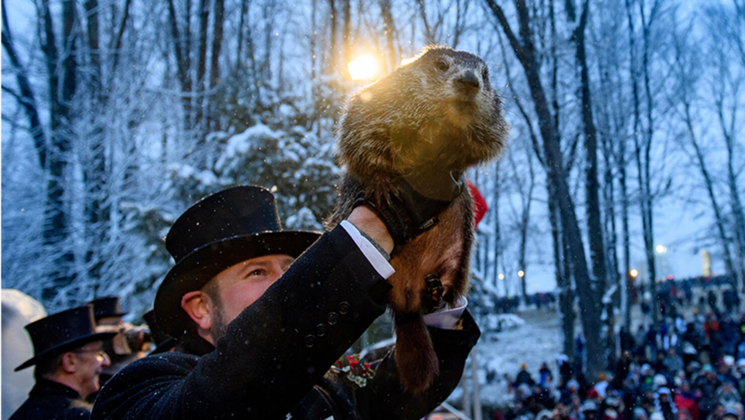 Winter Weather Oracle Punxsutawney Phil Makes Annual Groundhogs Day Appearance