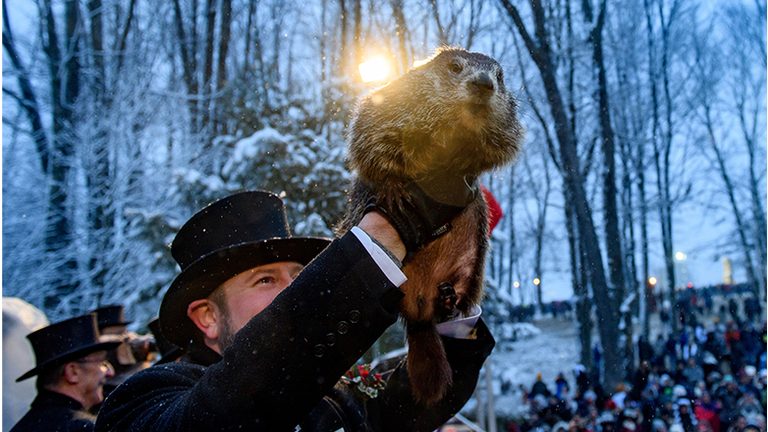 Winter Weather Oracle Punxsutawney Phil Makes Annual Groundhogs Day Appearance