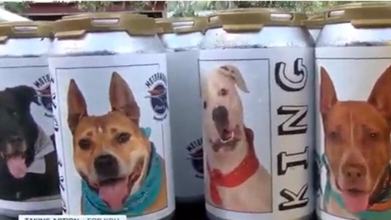 Woman Recognizes Dog Missing For Three Years On Florida Brewery Beer Can - Thumbnail Image