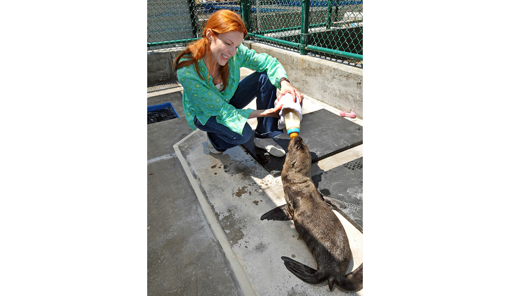 Marcia Cross Visits SeaWorld San Diego